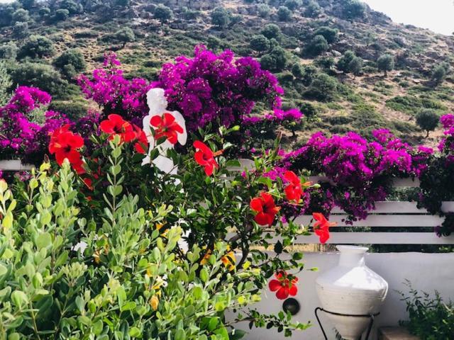 La Bastide Apartment Skyros Ngoại thất bức ảnh