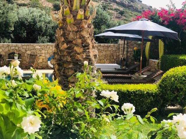 La Bastide Apartment Skyros Ngoại thất bức ảnh