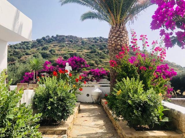 La Bastide Apartment Skyros Ngoại thất bức ảnh